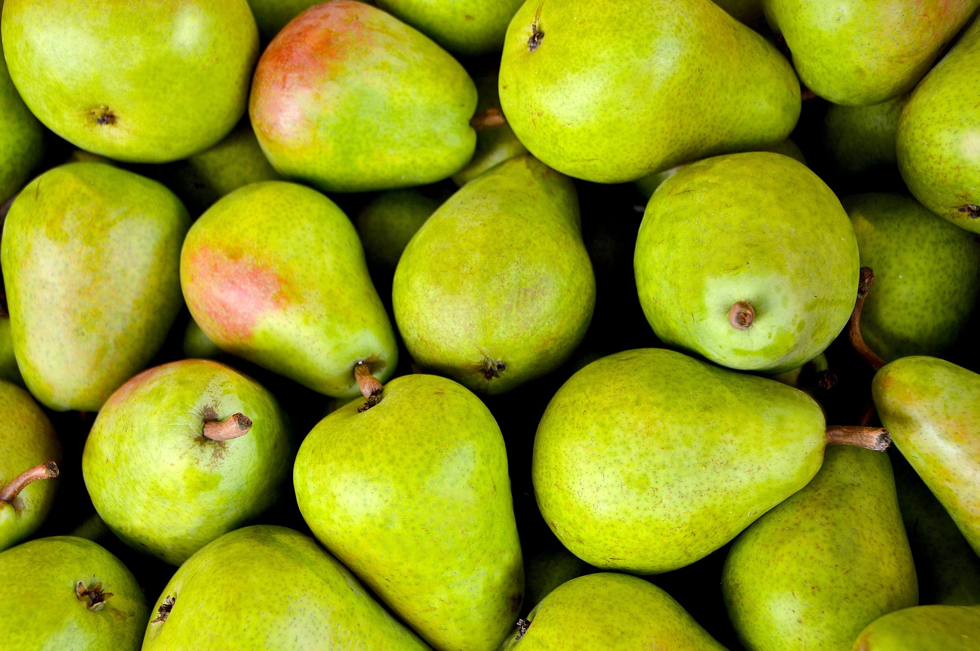 12 loại trái cây “kỳ diệu” bệnh nhân trong và sau quá trình điều trị ung thư không nên bỏ qua - Ảnh 9.