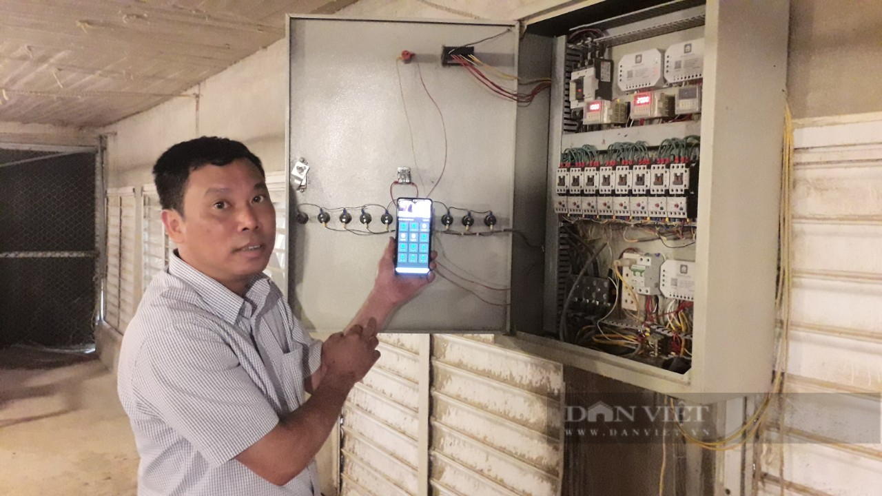 Thái Nguyên: Ông nông dân nuôi gà ấp trứng, ứng dụng công nghệ số hiện đại giúp giảm chi phí và tăng thu nhập - Ảnh 2.