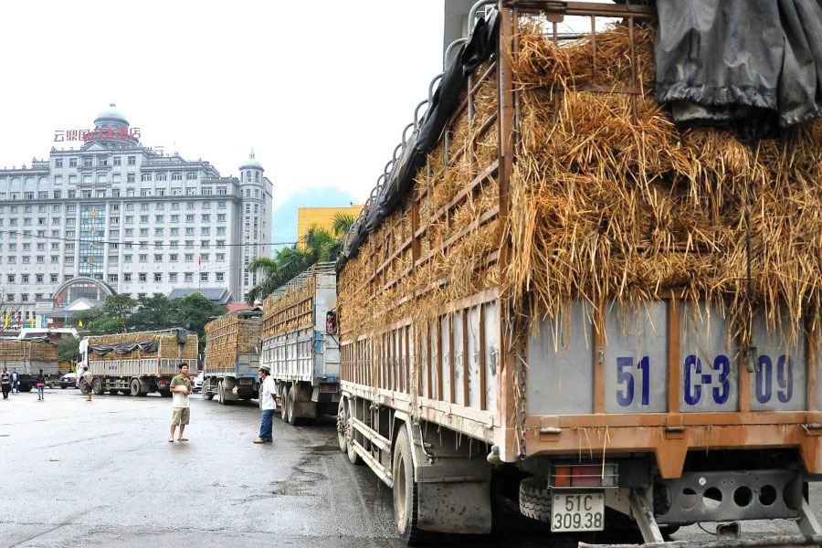 Xuất giảm, nhập tăng và nỗi buồn của rau quả Việt - Ảnh 4.