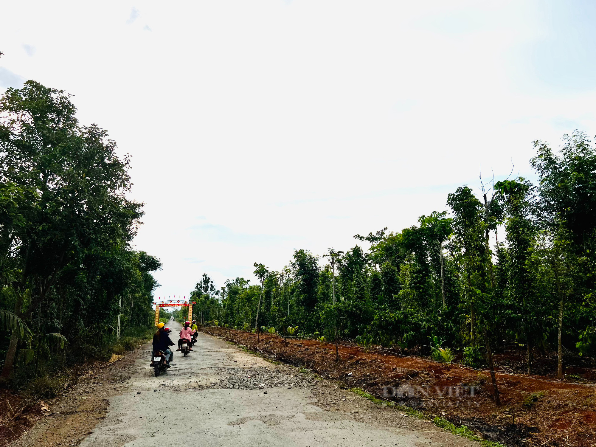 Đắk Lắk: Hàng loạt sai phạm trong công tác quản lý đầu tư xây dựng tại huyện Cư M'gar - Ảnh 1.