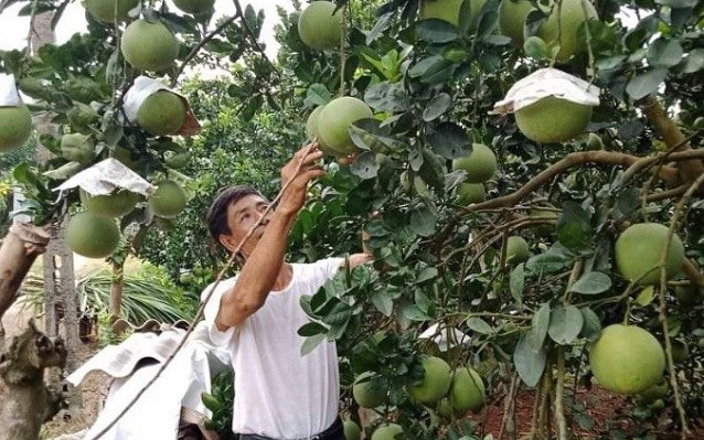 Hội Nông dân tỉnh Hoà Bình: Tạo chỗ dựa vững chắc cho hội viên làm giàu