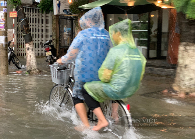 Quảng Ngãi: Mới đợt mưa đầu mùa, nhiều khu vực nội thành đã no nước  - Ảnh 5.