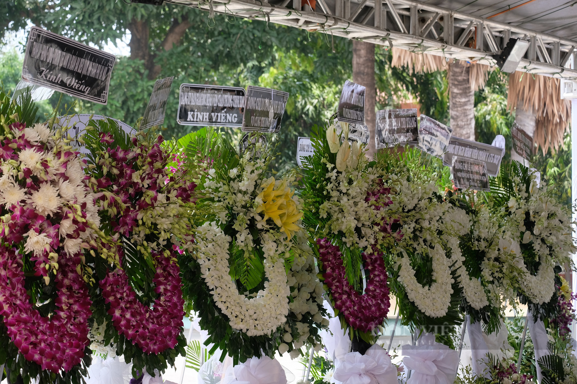 Những hình ảnh đầu tiên tại lễ tang Phó Chủ tịch UBND TP.HCM Lê Hòa Bình - Ảnh 3.