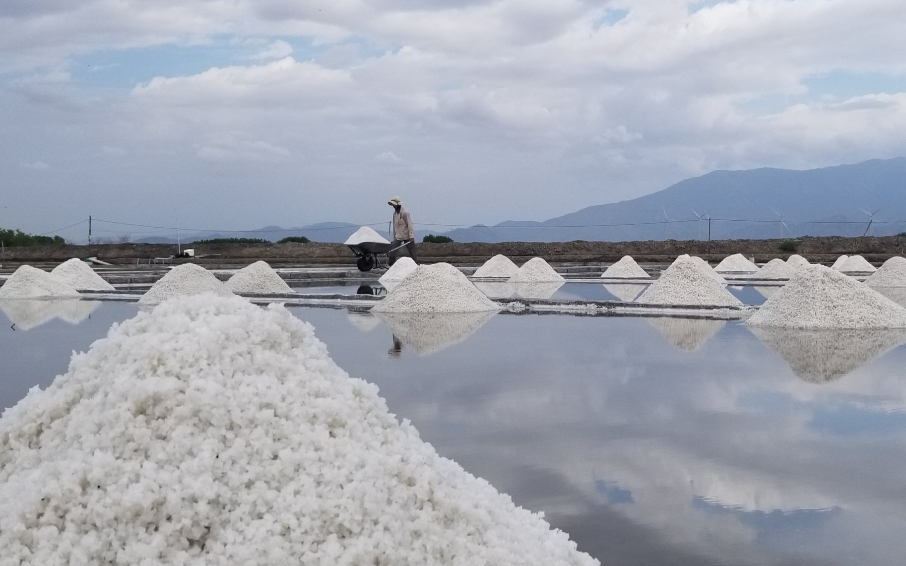 Tham tán nông nghiệp Pháp chỉ ra sự khác biệt, tạo giá trị cao cho hạt muối thủ công