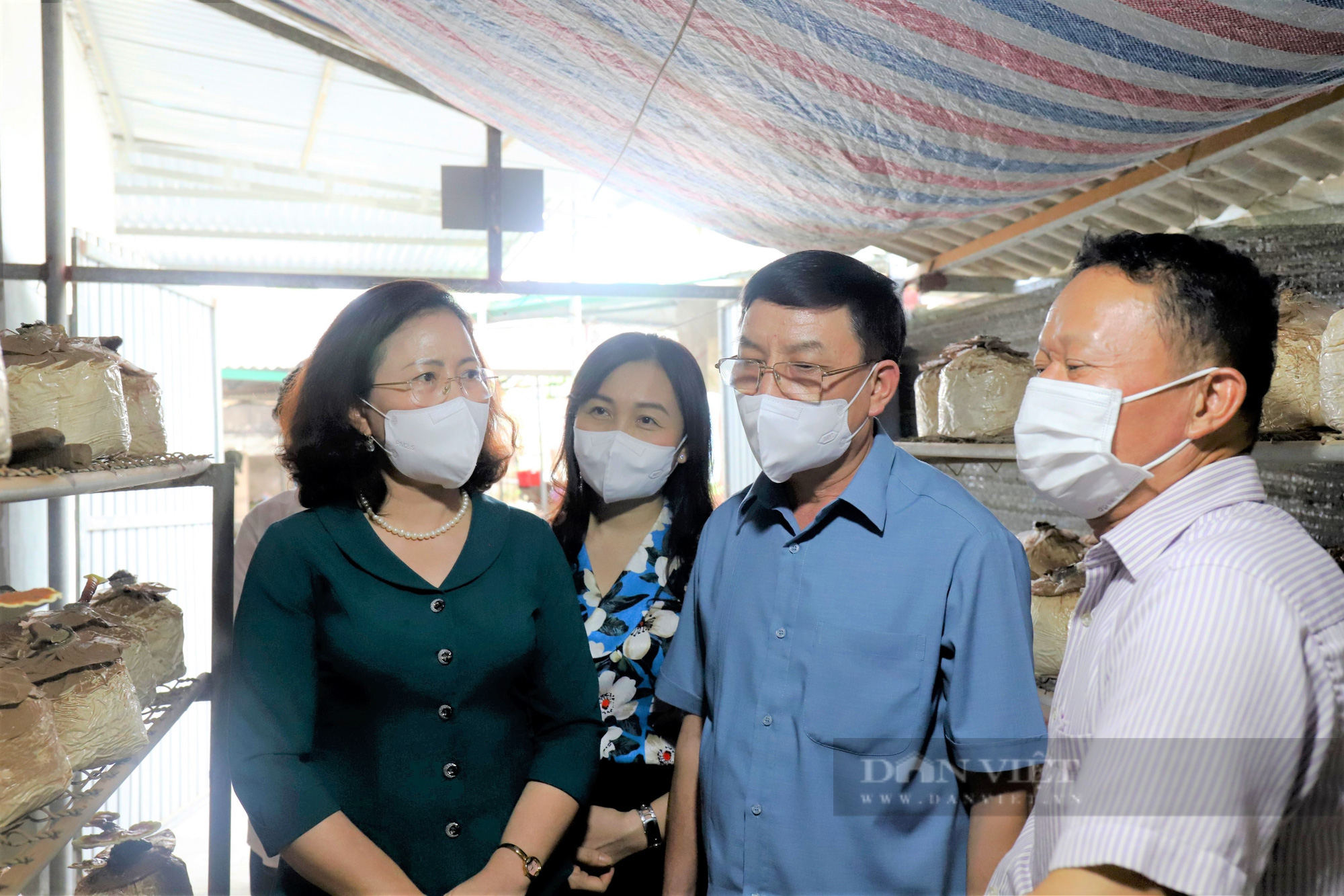 Phó Chủ tịch Trung ương Hội Nông dân Việt Nam đánh giá cao quy mô, hiệu quả các mô hình Nông nghiệp tại Hà Tĩnh - Ảnh 2.