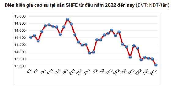 Giá cao su hôm nay 4/3: Quay đầu giảm, xuất khẩu cao su quá buồn, sụt gần 50% - Ảnh 3.