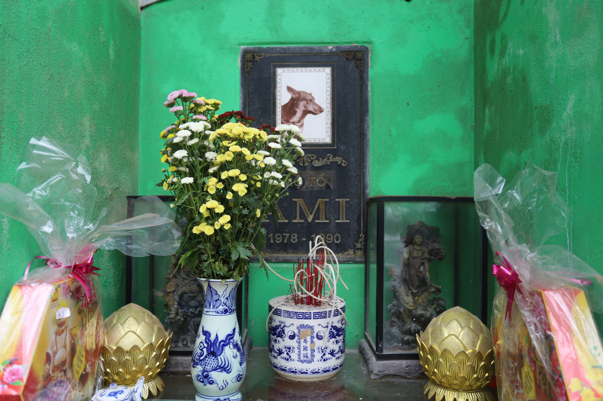 Chủ nghĩa trang chó mèo ở Hà Nội kể về chú chó &quot;hốt bạc&quot;, kiếm cả cây vàng mỗi tháng - Ảnh 3.