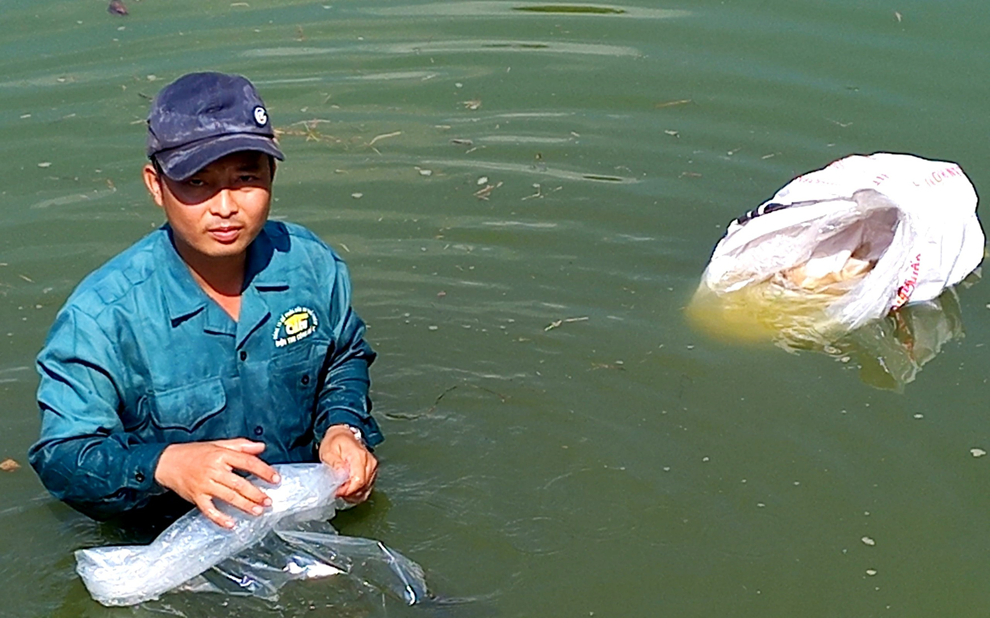 Gác bằng cử nhân, bỏ làm cán bộ, trai làng tỉnh Long An về nuôi cá đặc sản, trai làng thu tiền chật túi