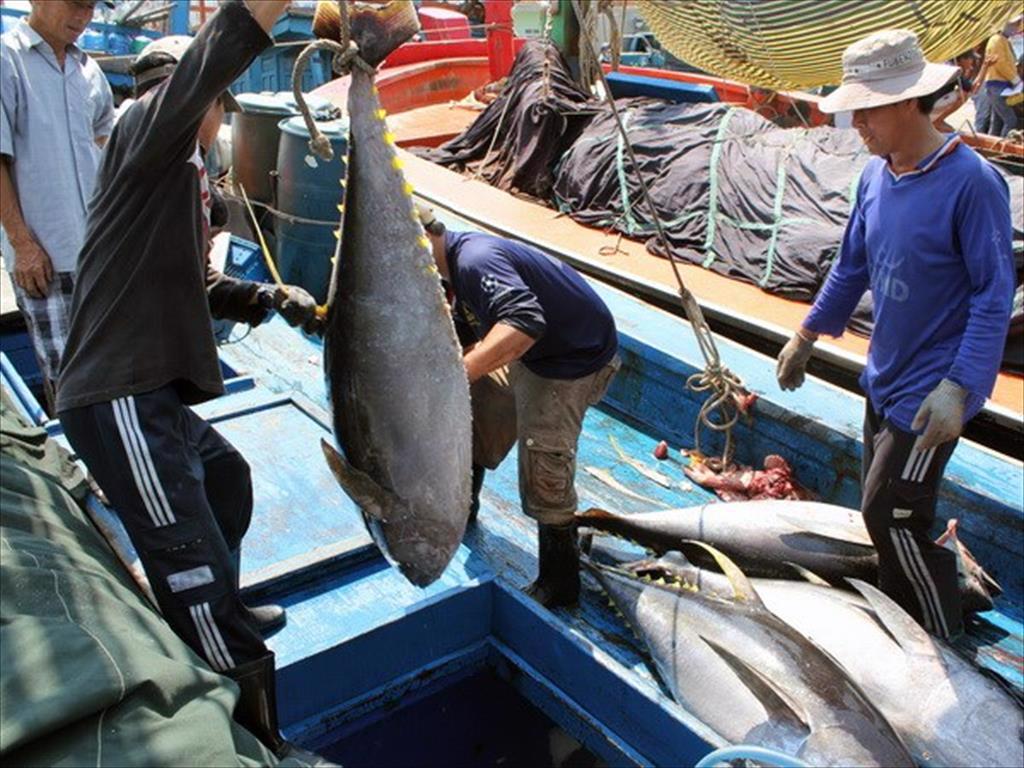 Chiến sự Nga - Ukraine: Đơn hàng bán một loài cá của Việt Nam đã gửi đi Nga buộc phải quay lại - Ảnh 1.