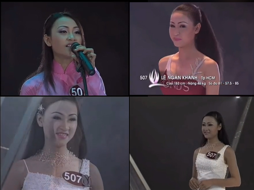 Cao Thái Hà, Phương Oanh và những nghệ sĩ đình đám này từng ghi danh thi Hoa hậu - Ảnh 4.