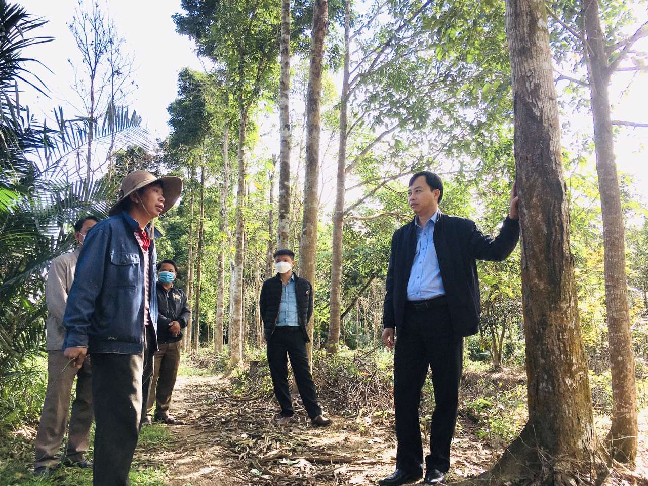 Quảng Nam: Trồng rừng gỗ lớn ở huyện miền núi Nông Sơn, hướng đi đầy hứa hẹn - Ảnh 1.