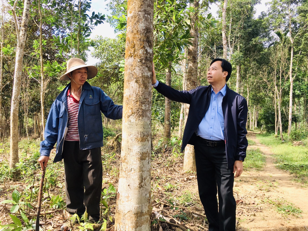 Quảng Nam: Trồng rừng gỗ lớn ở huyện miền núi Nông Sơn, hướng đi đầy hứa hẹn - Ảnh 3.