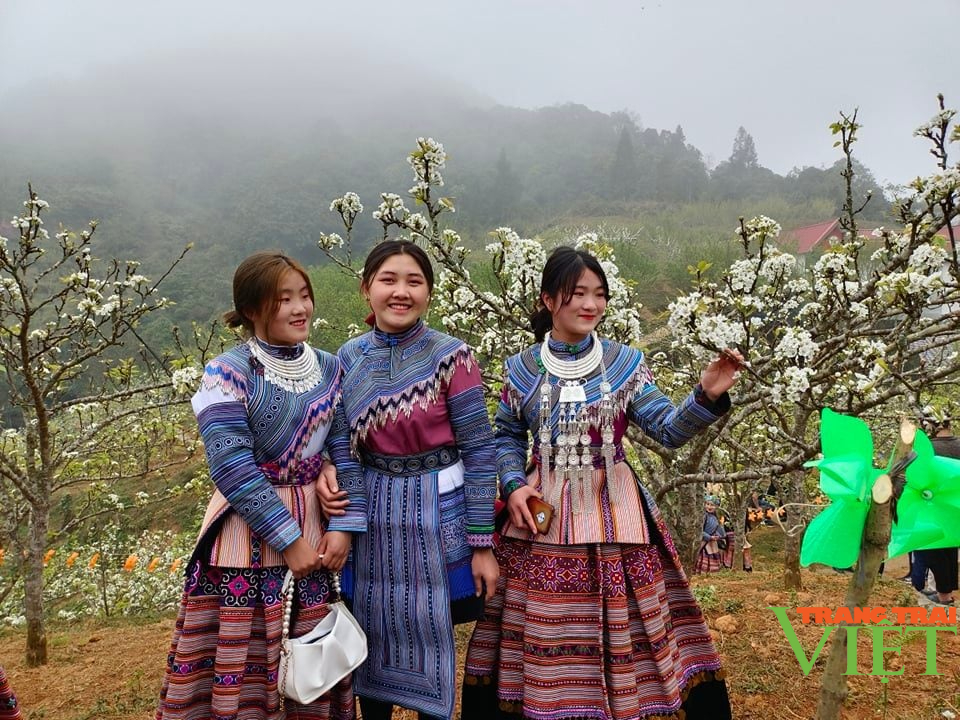 Đặc sắc Lễ hội hoa lê trắng đầu tiên ở Lào Cai - Ảnh 2.