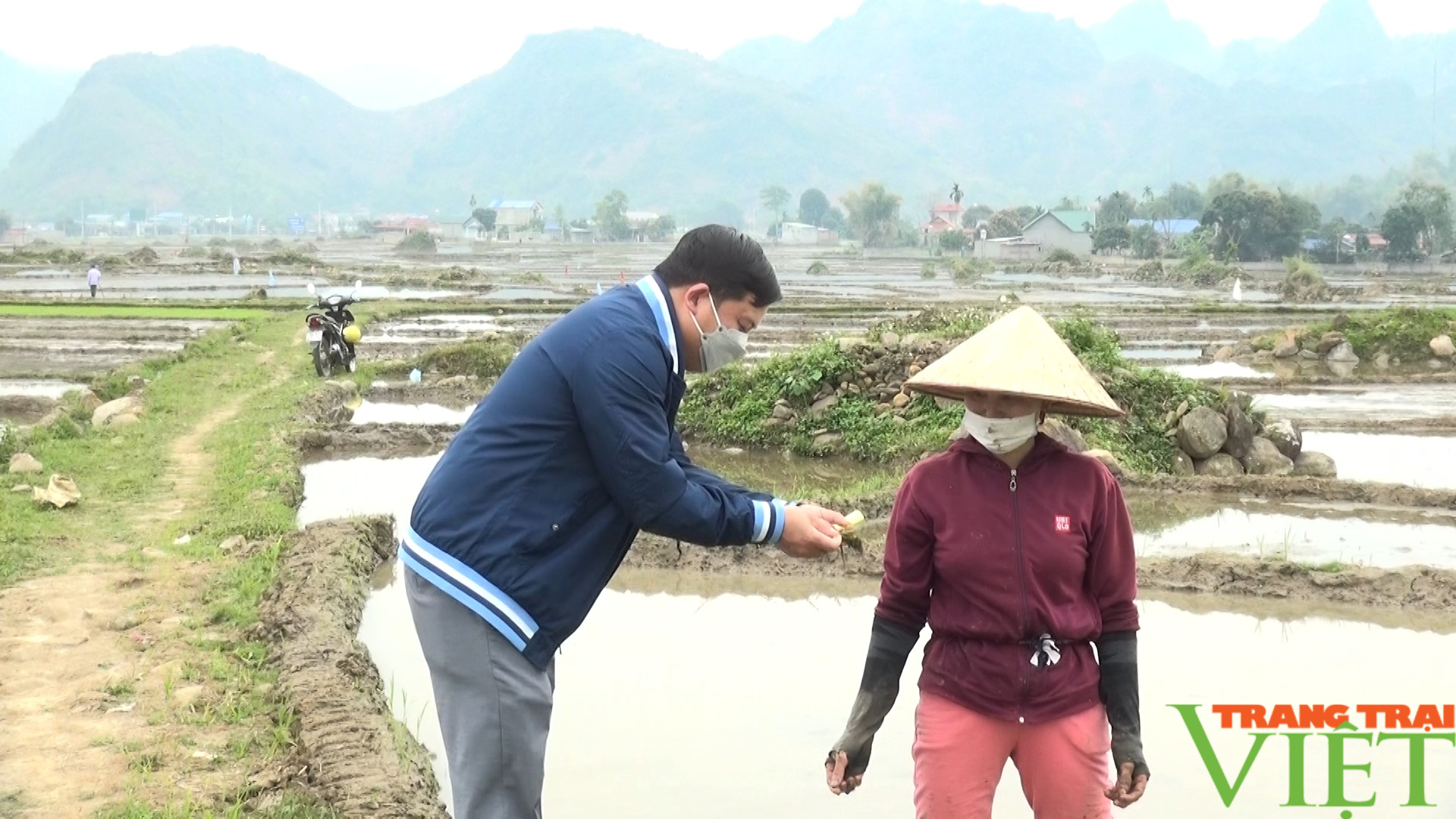 Nông dân Huy Bắc khắc phục tình trạng thiếu mạ cấy sau đợt rét đậm, rét hại - Ảnh 5.