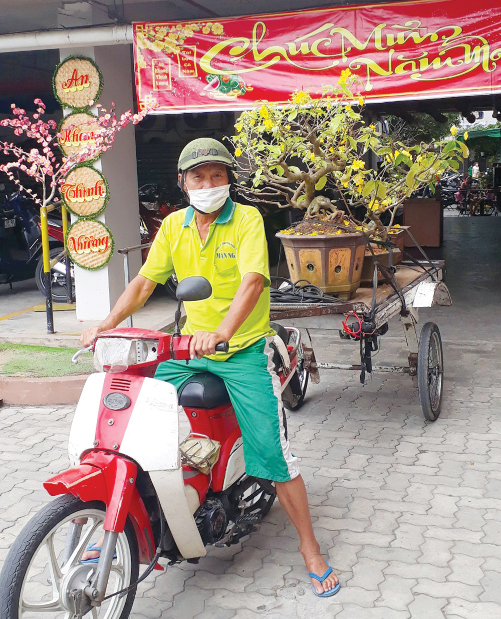 &quot;Cao thủ&quot; An Giang kiếm tiền dễ như ăn kẹo bằng nghề nhận làm &quot;vú em&quot; cho cây mai vàng sau Tết - Ảnh 4.