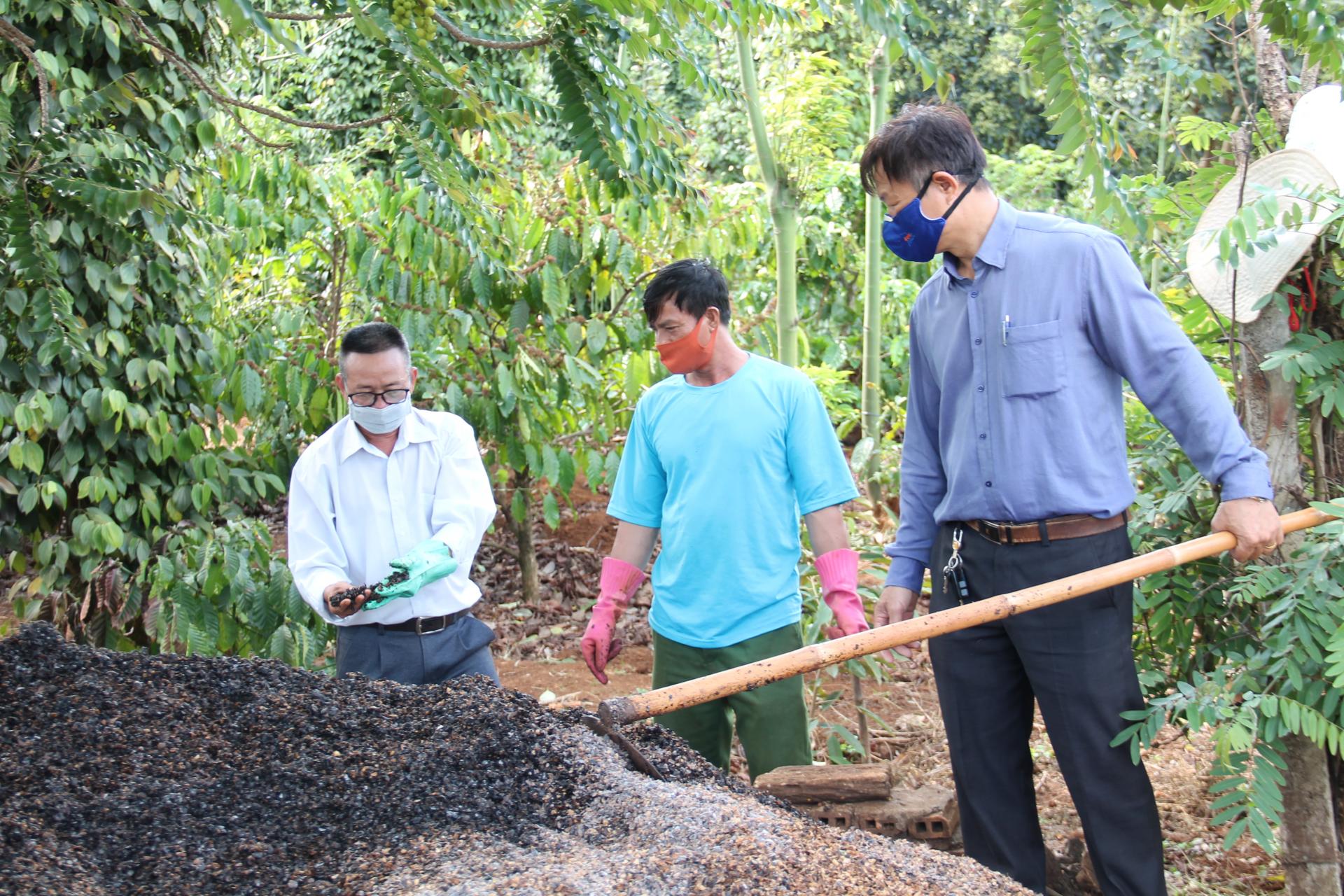 Đắk Lắk: Ngày trước những thứ này đem đốt bỏ, nay ủ làm phân bón, đúng là &quot;nhất cử lưỡng tiện&quot; - Ảnh 1.