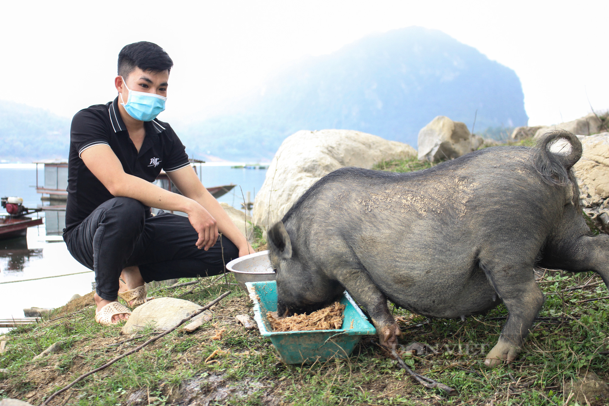 Hòa Bình: Cử nhân kế toán về quê nuôi lợn đen, cá bỗng, cá dầm xanh...và ước mơ làm giàu ở ven bờ sông Đà - Ảnh 4.