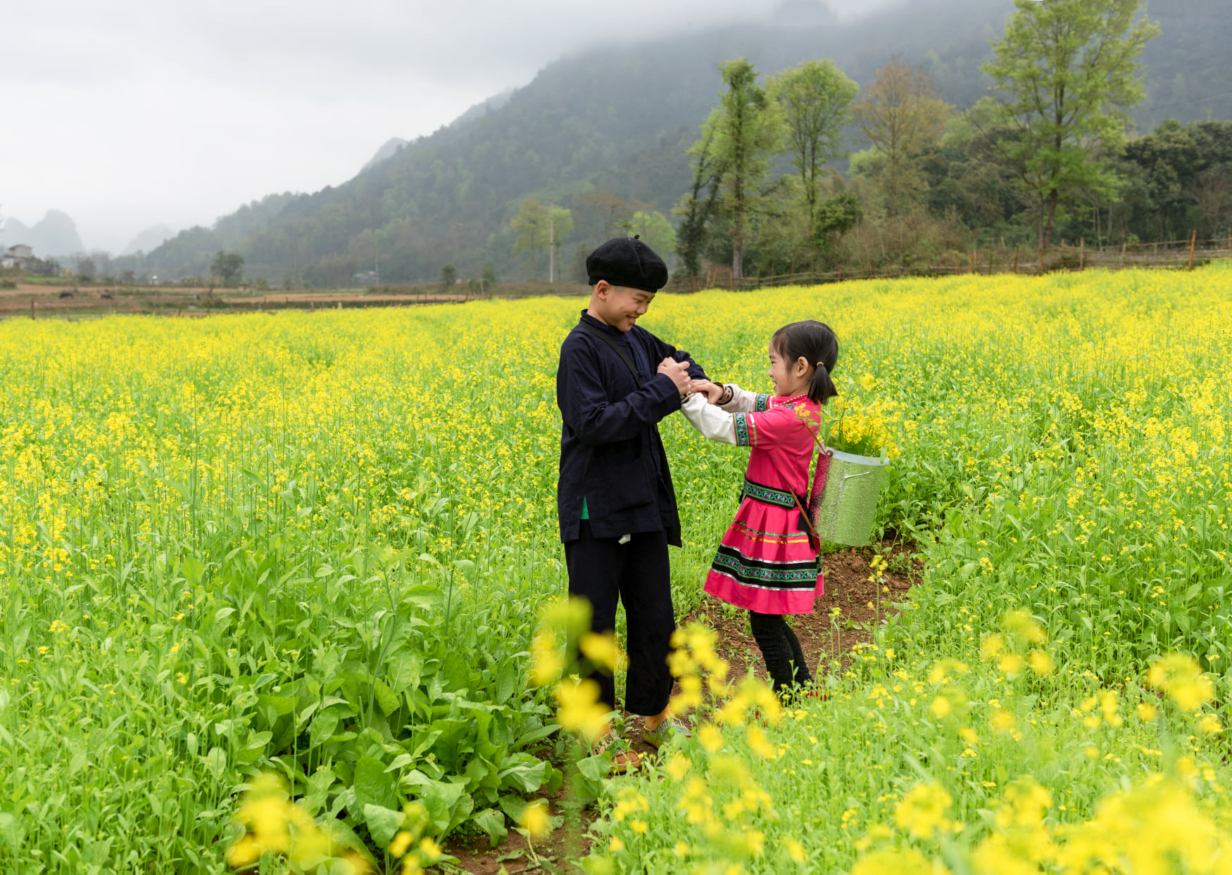 Đẹp ngất ngây mùa cải vàng tại Trùng Khánh, Cao Bằng - Ảnh 5.