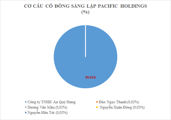 Pacific Holdings – “Game mới” tại Vinaconex của Chủ tịch Đào Ngọc Thanh - Ảnh 4.