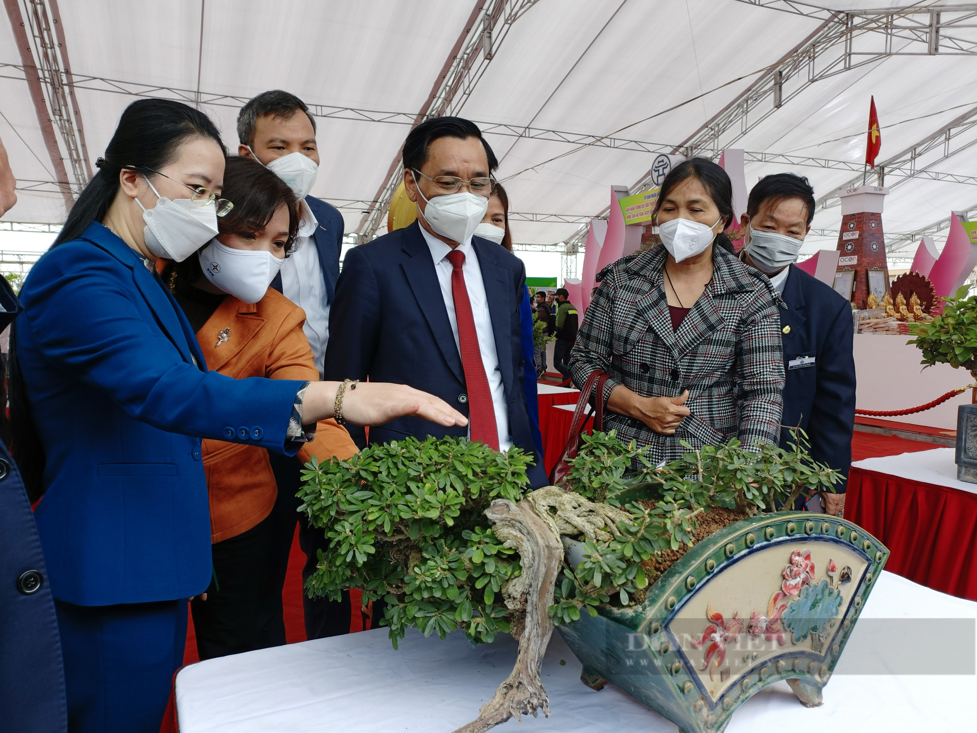 Đến Hội chợ này ngắm hoa lan đột biến 5 cánh trắng Phú Thọ, cây si cổ thế độc, lạ giá tiền tỷ  - Ảnh 2.