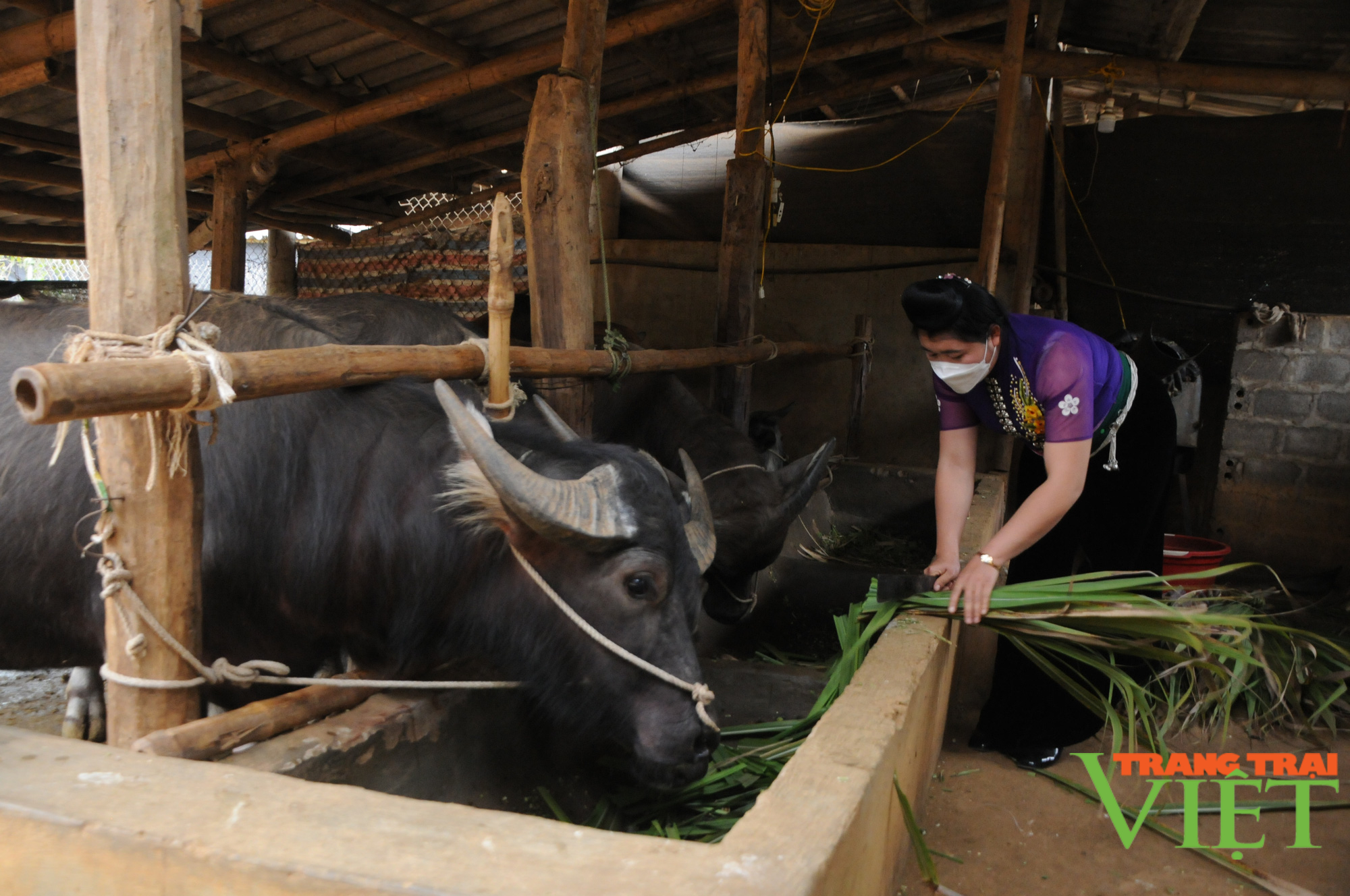 Chi hội trưởng phụ nữ năng động, nhiệt tình trong công tác hội - Ảnh 1.