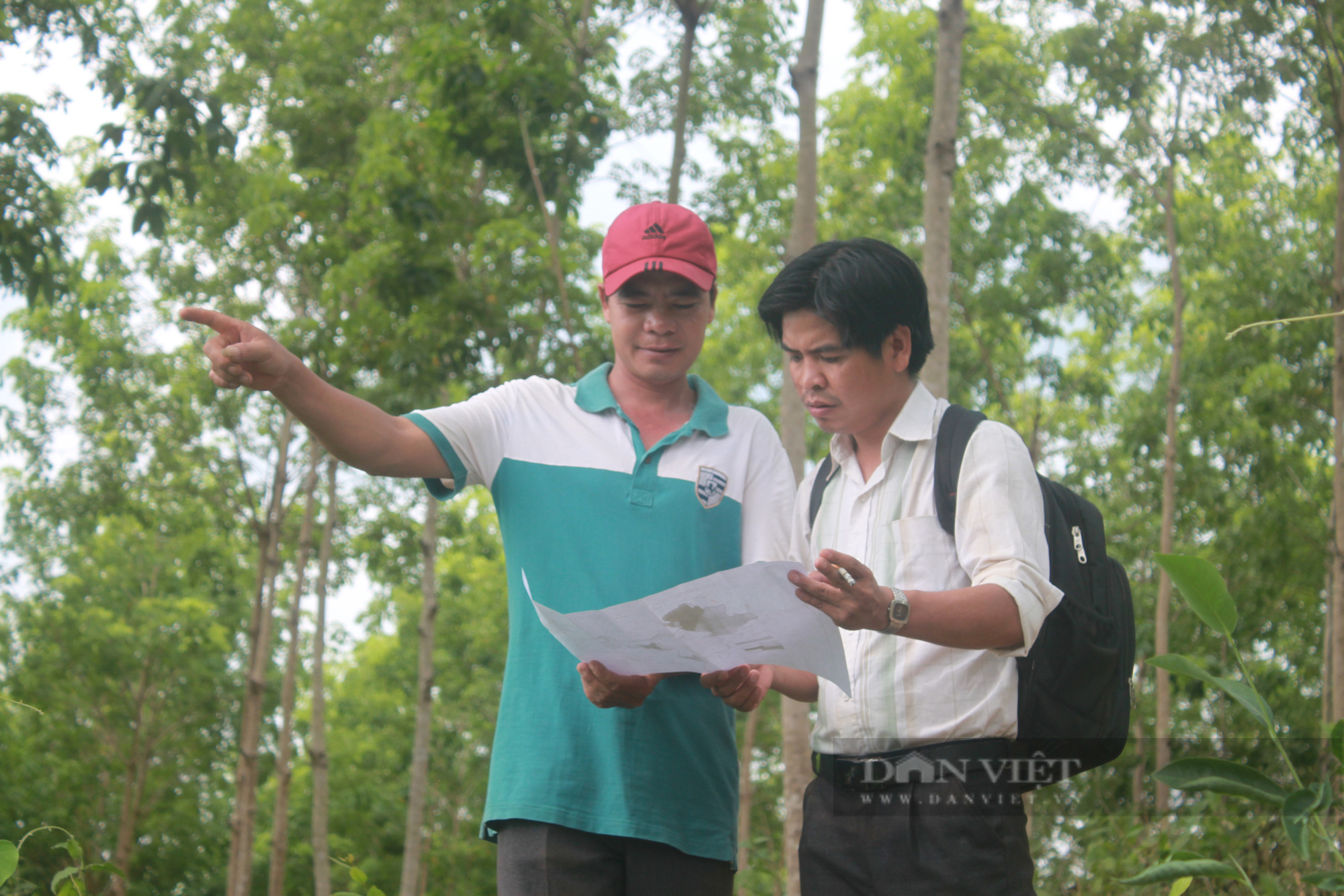 Dự án trồng rừng bị ‘xẻ thịt’ ở Bình Phước:  Có lừa đảo chiếm đoạt tiền hỗ trợ? - Ảnh 1.