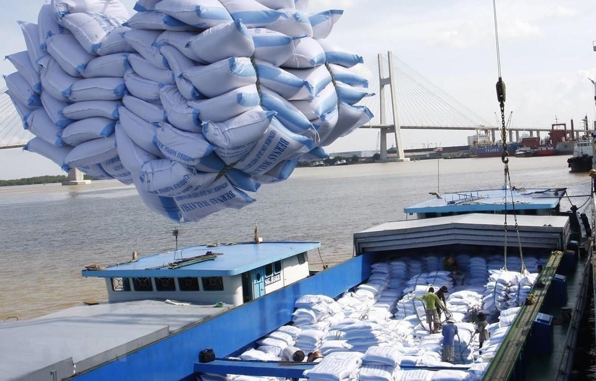 Xung đột Nga - Ukraine có thể đẩy giá gạo xuất khẩu tăng - Ảnh 1.