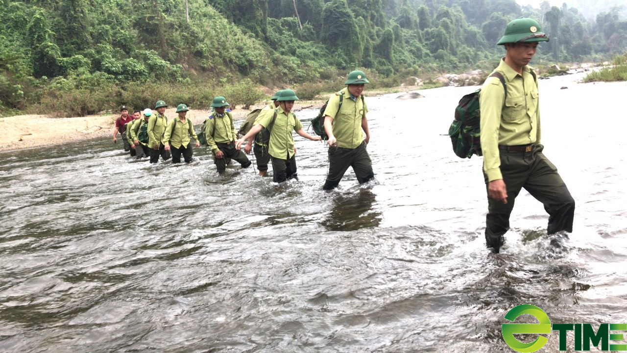 Quảng Nam: Cán bộ là người tiên phong trong công tác bảo vệ động, thực vật hoang dã - Ảnh 1.