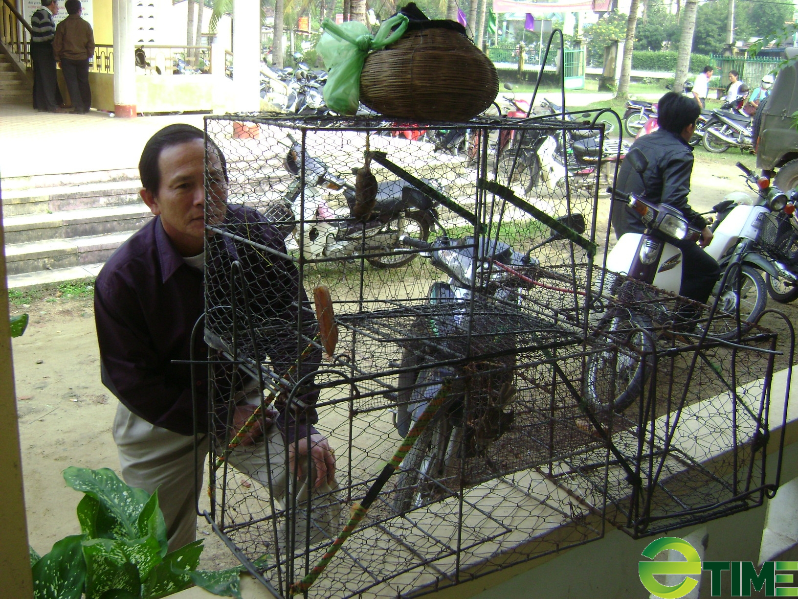 Quảng Nam: Cán bộ là người tiên phong trong công tác bảo vệ động, thực vật hoang dã - Ảnh 5.