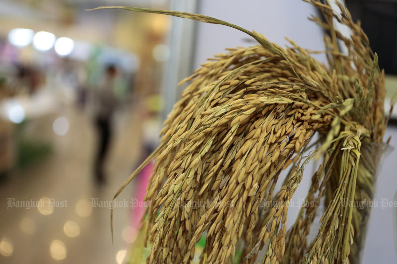 Giá gạo Thái Lan dự báo tăng 5% trong quý II - Ảnh 1.