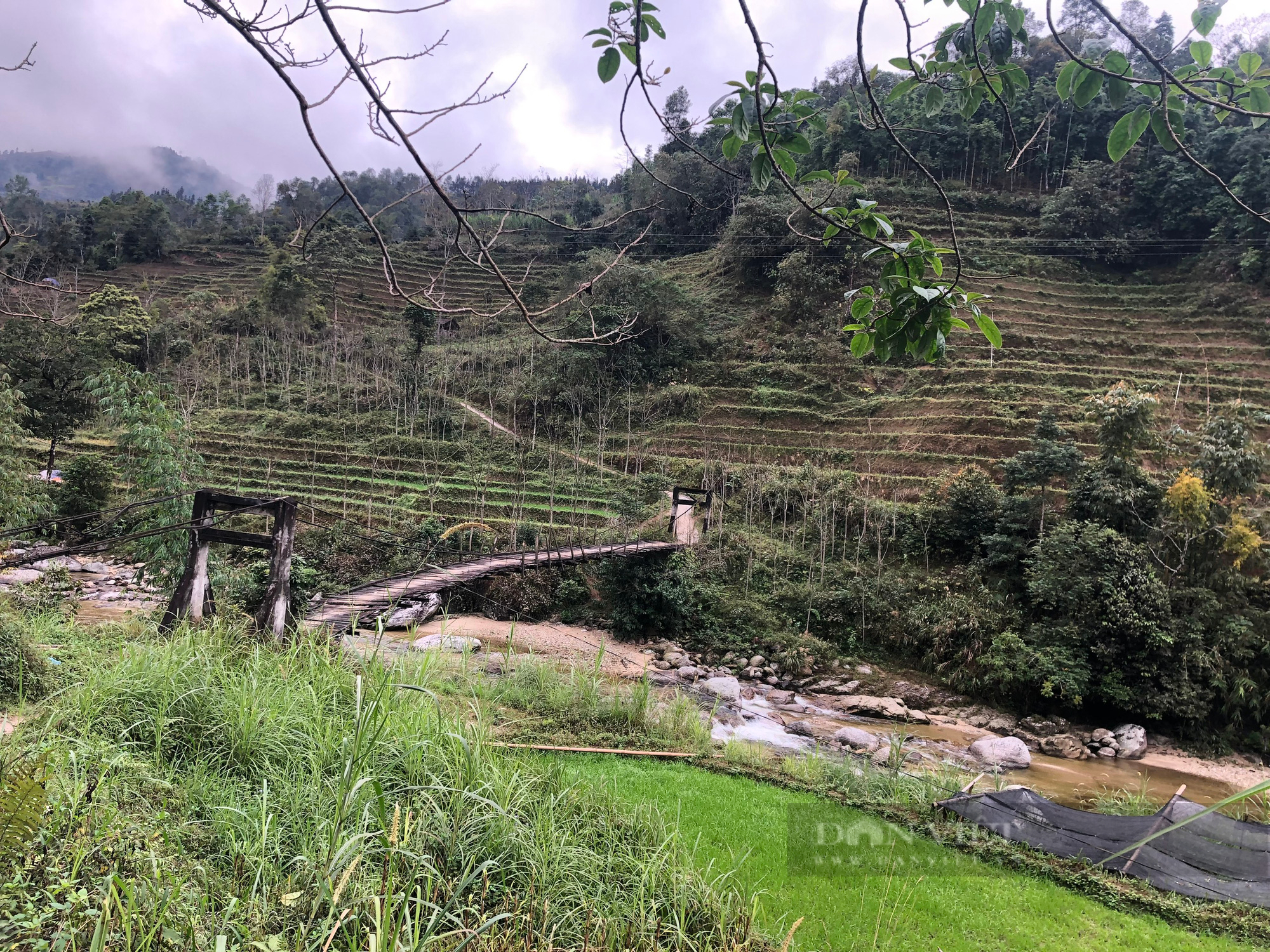 Hà Giang: Cây cầu gỗ mục nát nằm chênh vênh trên suối “kêu cứu” - Ảnh 1.