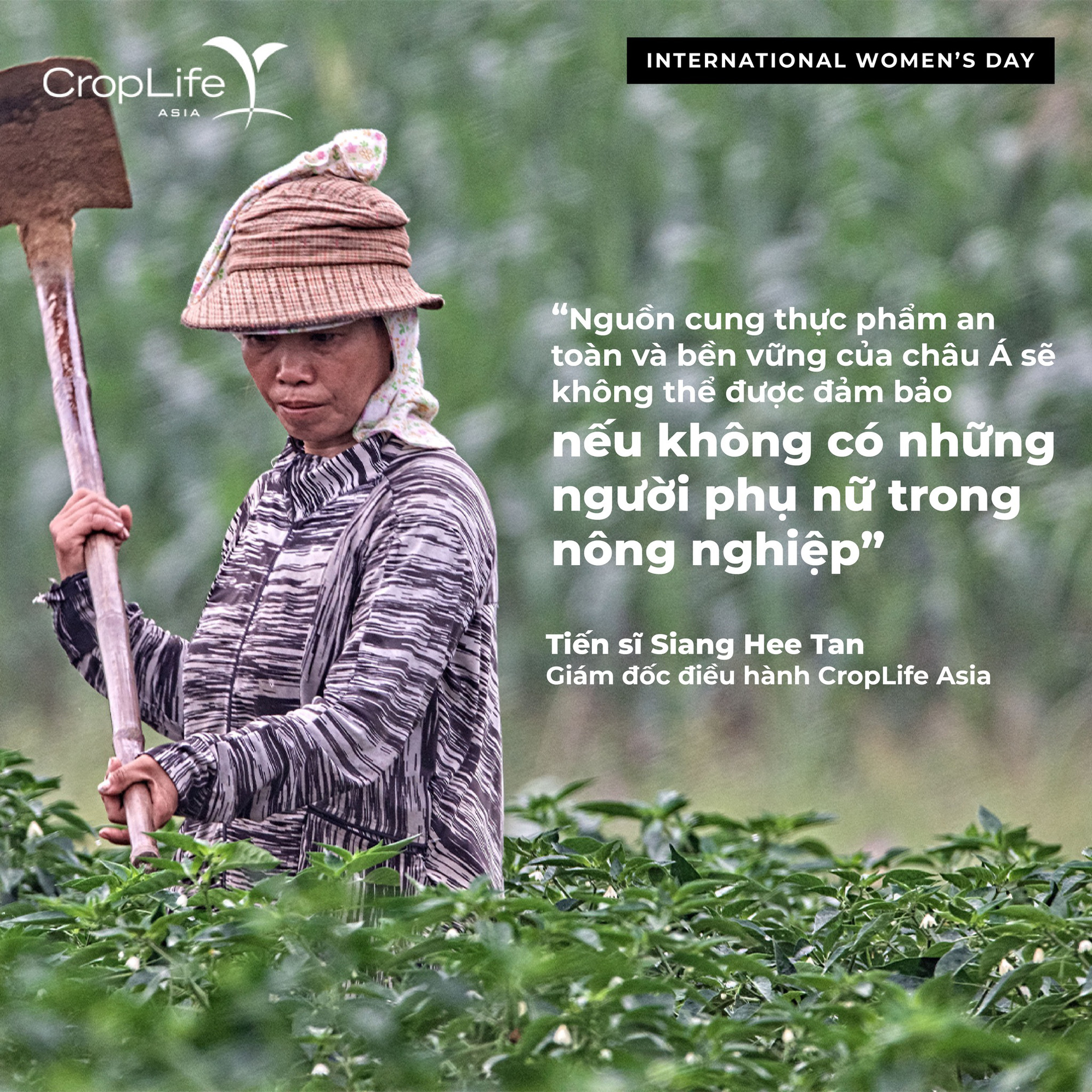 Ngày Quốc tế Phụ nữ 8/3, CropLife Châu Á hưởng ứng chiến dịch phá vỡ định kiến cho các nữ nông dân - Ảnh 1.