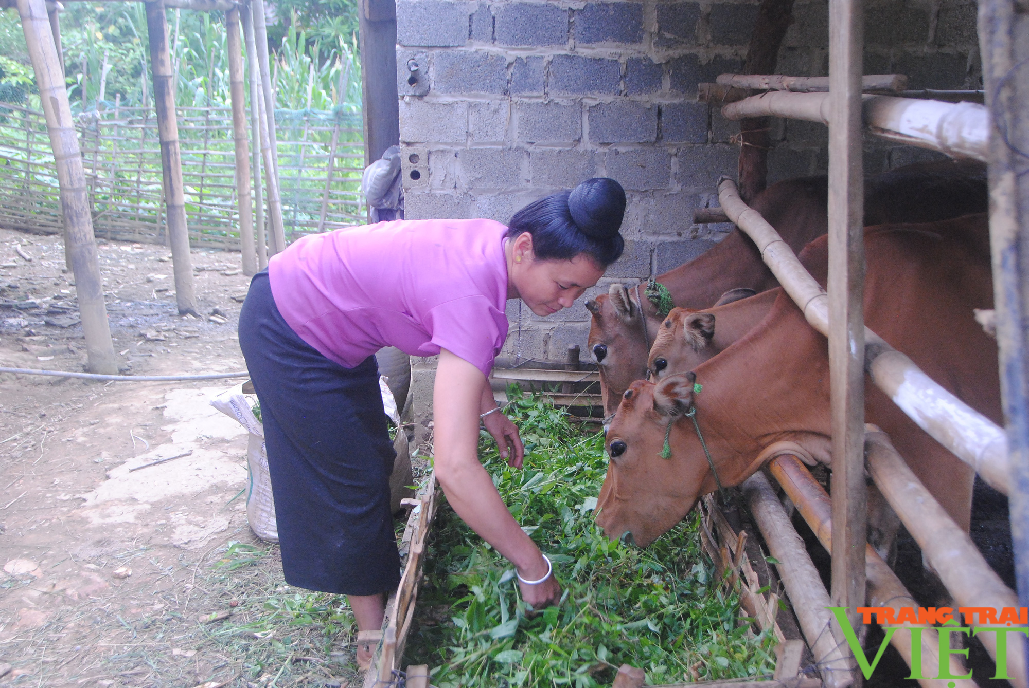 &quot;Đòn bẩy&quot; giúp phụ nữ vươn lên trong phát triển kinh tế - Ảnh 3.