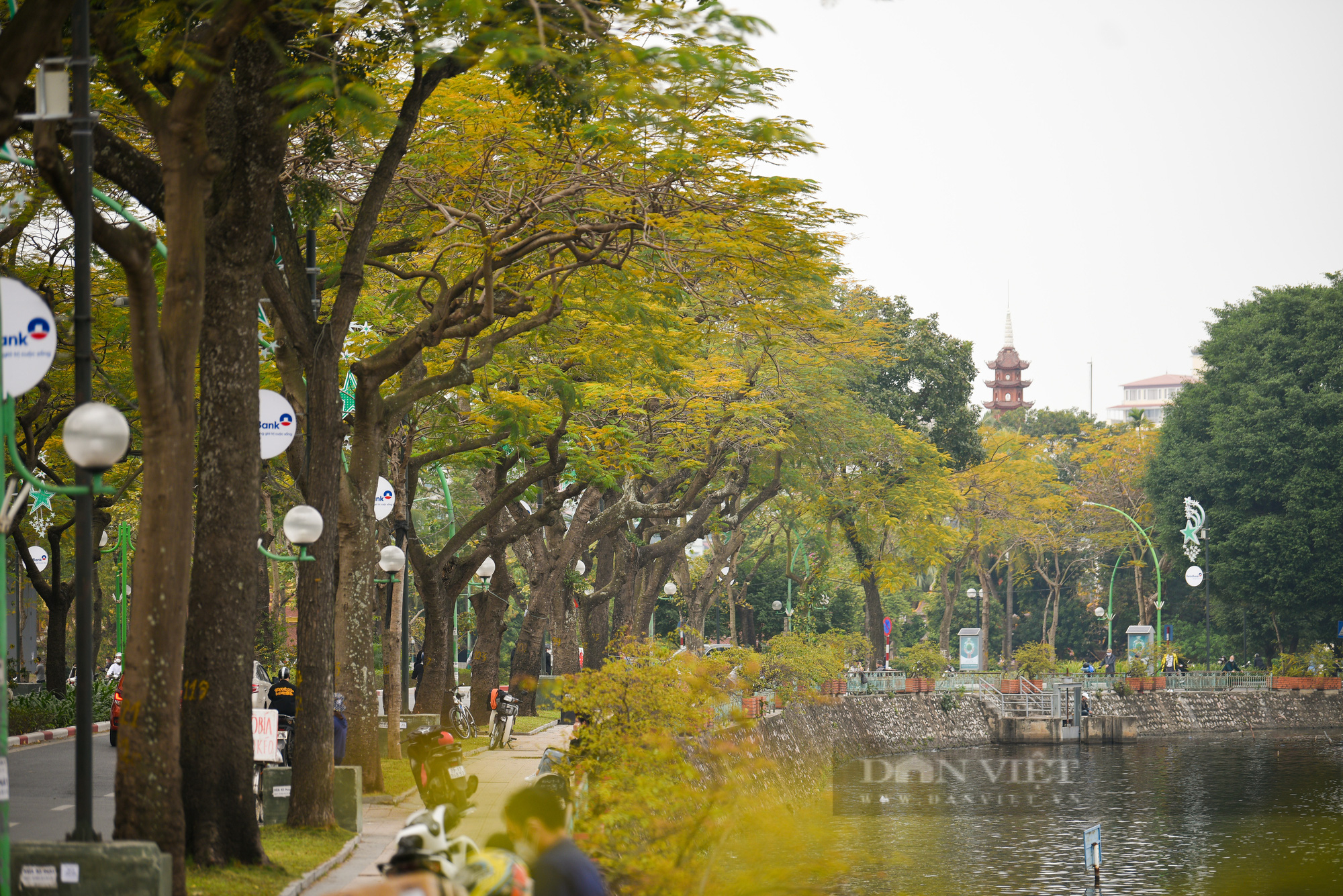  Hà Nội mùa thay lá đẹp như... Hàn Quốc