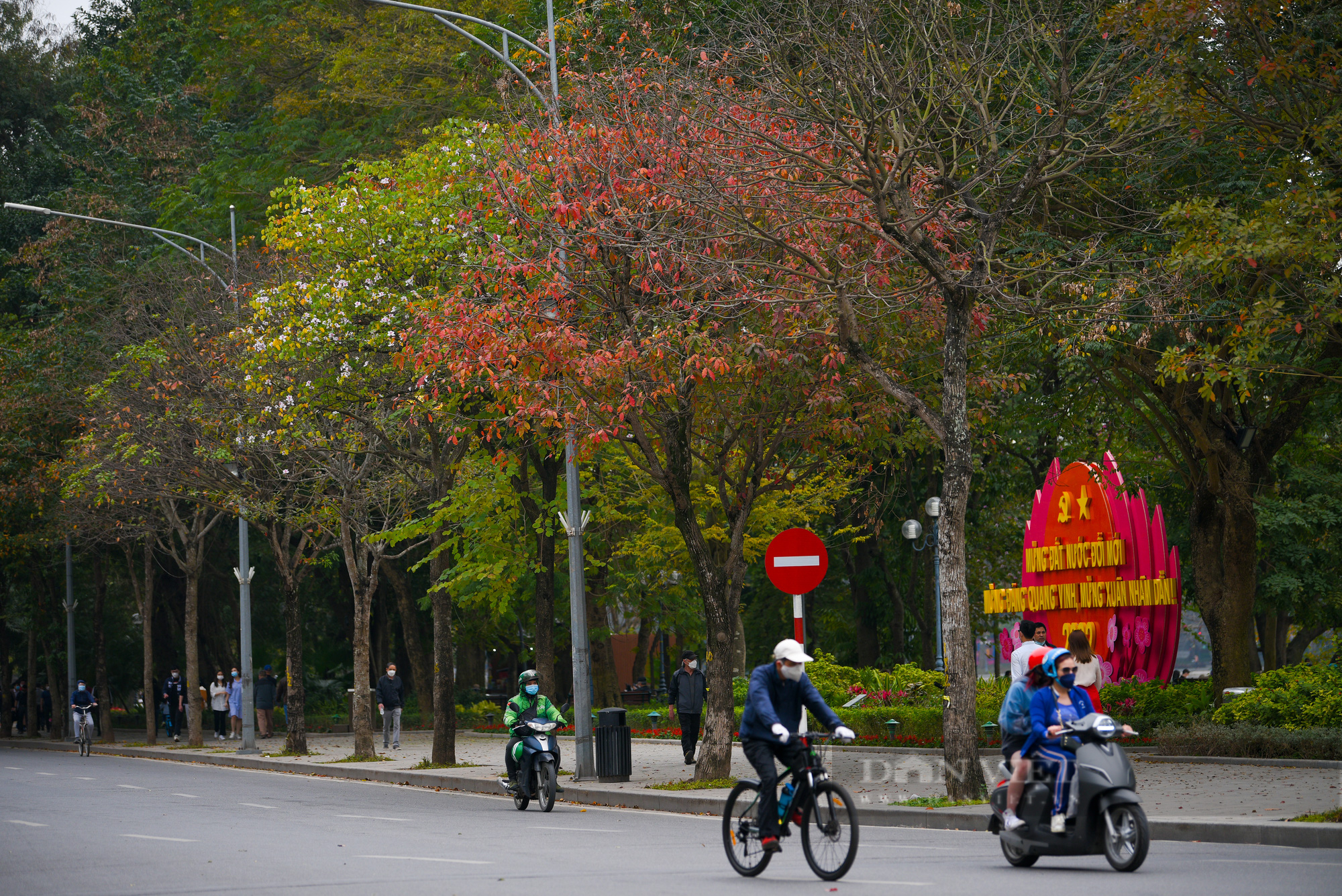  Hà Nội mùa thay lá đẹp như... Hàn Quốc