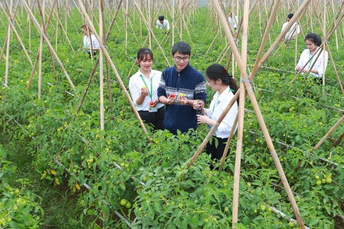 Tuyển sinh đại học năm 2022: Học viện Nông nghiệp Việt Nam tuyển sinh những ngành nào? - Ảnh 1.