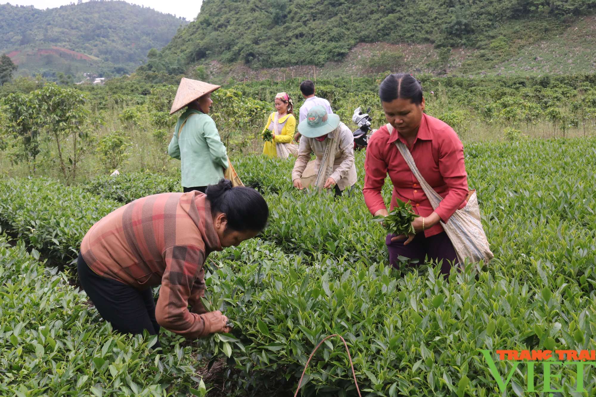 &quot;Đòn bẩy&quot; giúp phụ nữ vươn lên trong phát triển kinh tế - Ảnh 2.