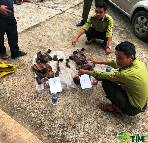 Quảng Nam: Cán bộ là người tiên phong trong công tác bảo vệ động, thực vật hoang dã - Ảnh 3.