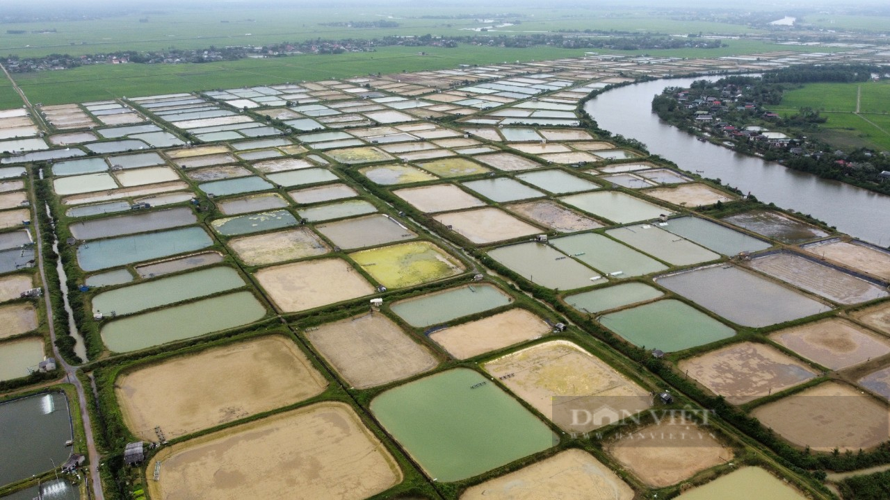 Lùm xùm chuyện phần trăm tiền đền bù Formosa ở Quảng Trị - Ảnh 3.