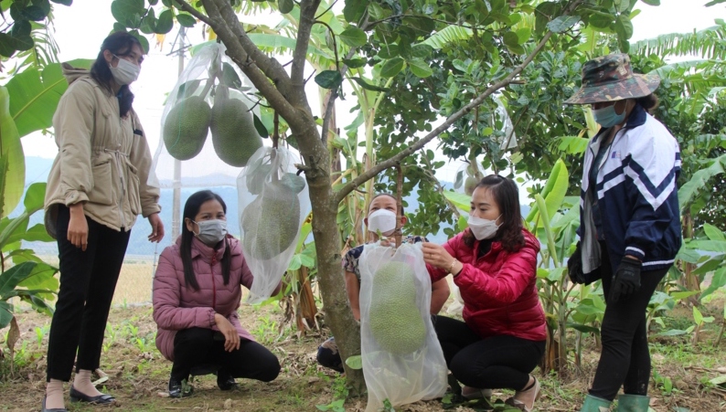 Có điểm tựa từ tín dụng chính sách xã hội, chị em phụ nữ mạnh dạn làm giàu - Ảnh 1.