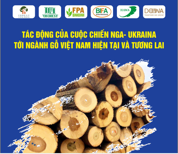 Cuộc chiến Nga - Ukraine đẩy ngành gỗ Việt Nam vào nguy cơ thiếu nguyên liệu - Ảnh 1.