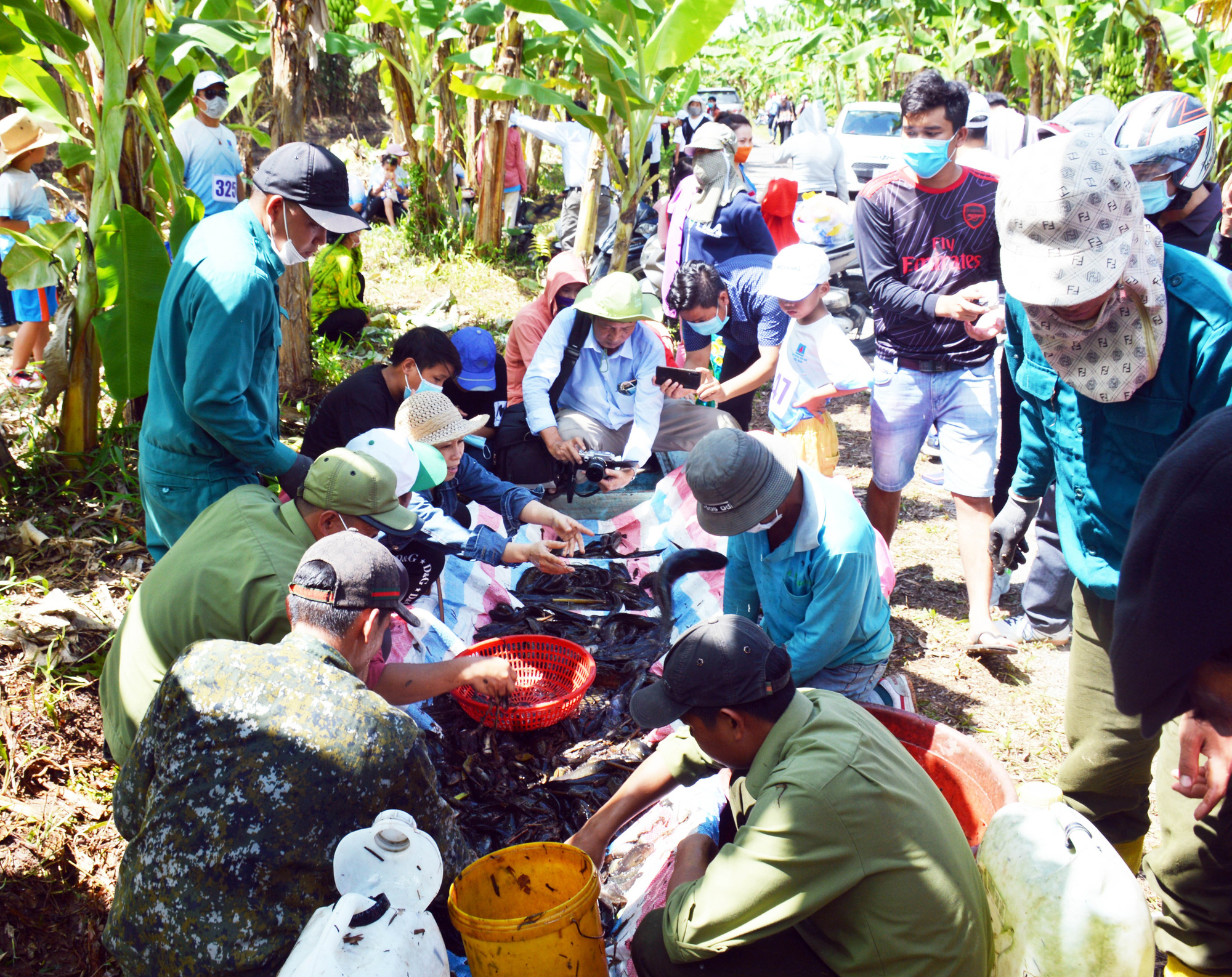 Cà Mau sắp có chuỗi sự kiện lớn quảng bá cua biển, mật ong và vô số đặc sản trứ danh - Ảnh 3.