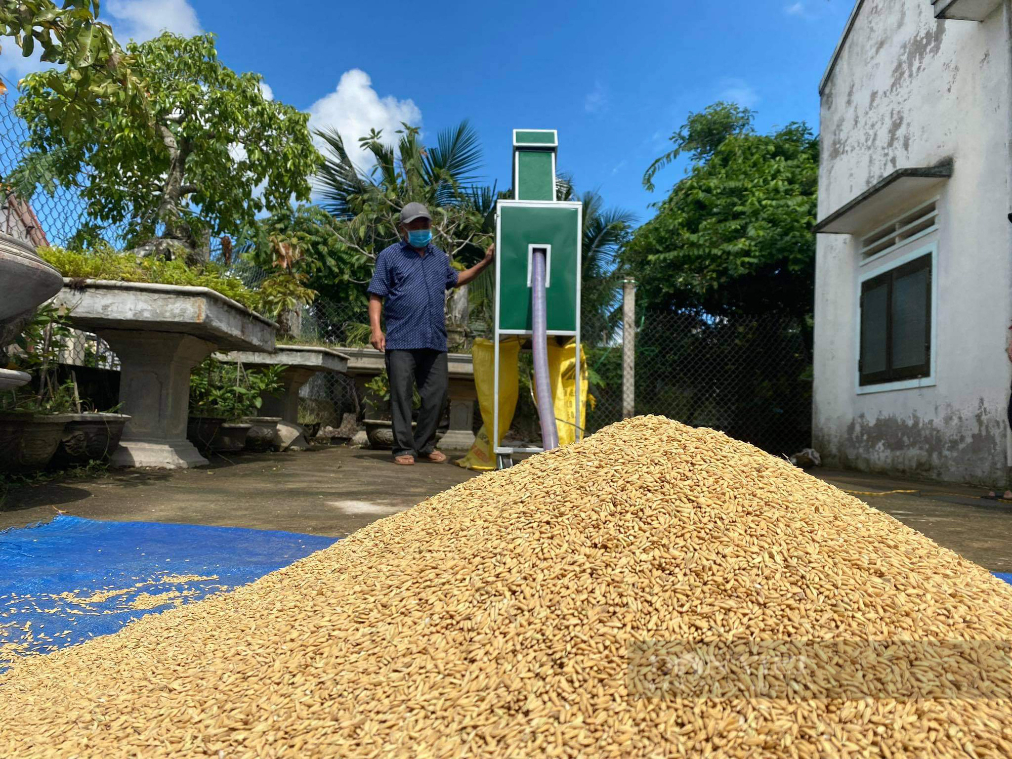 Thương mẹ già rê lúa vất vả quá, anh nông Quảng Ngãi sáng chế ra máy rê lúa vèo cái xong cả đống thóc to - Ảnh 1.