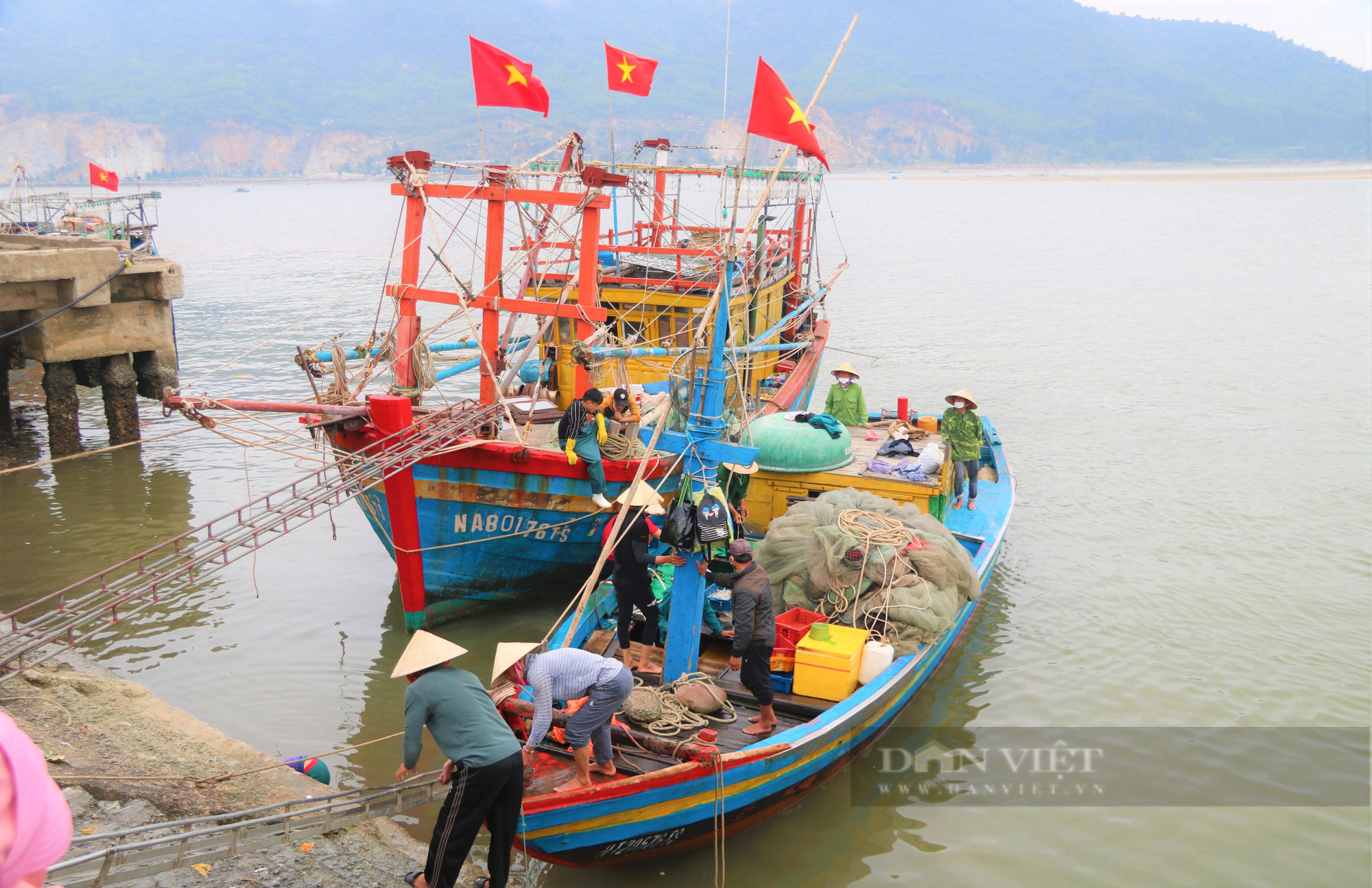 Ngư dân Hà Tĩnh “đánh” trúng nhiều loại hải sản có giá trị cao, thu về tiền triệu mỗi ngày - Ảnh 4.