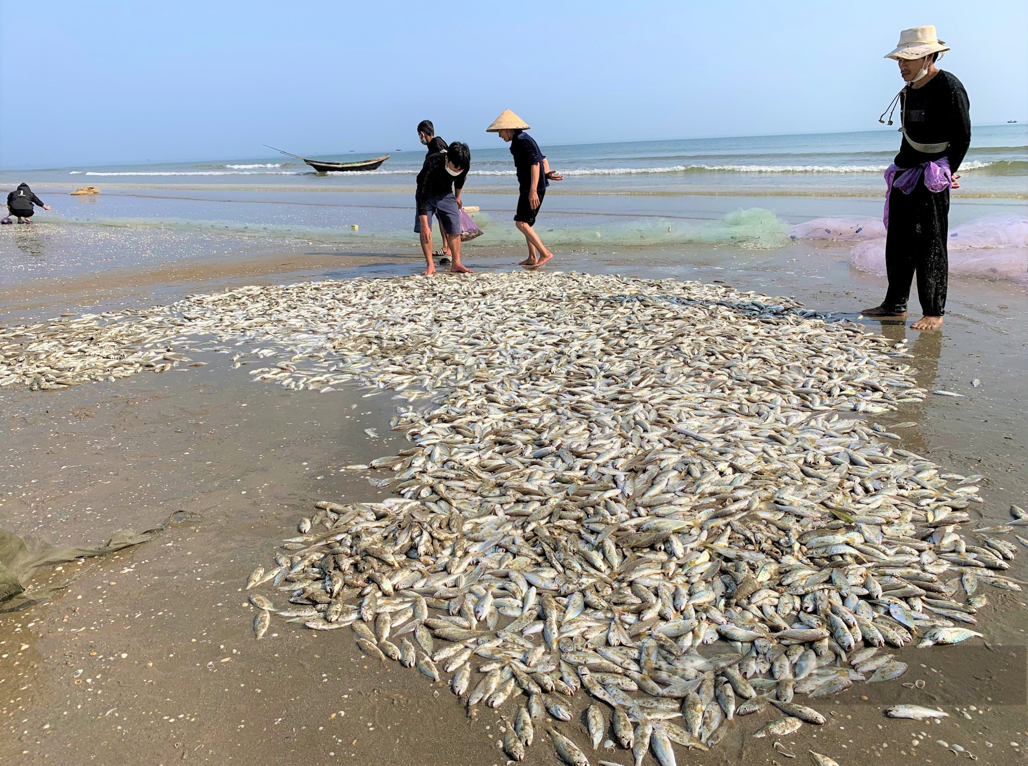 Ngư dân Hà Tĩnh “đánh” trúng nhiều loại hải sản có giá trị cao, thu về tiền triệu mỗi ngày - Ảnh 8.