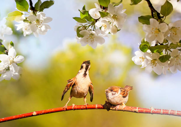 Người sinh ngày Âm lịch nào có hy vọng làm giàu, thăng quan tiến chức trong năm nay?  - Ảnh 2.