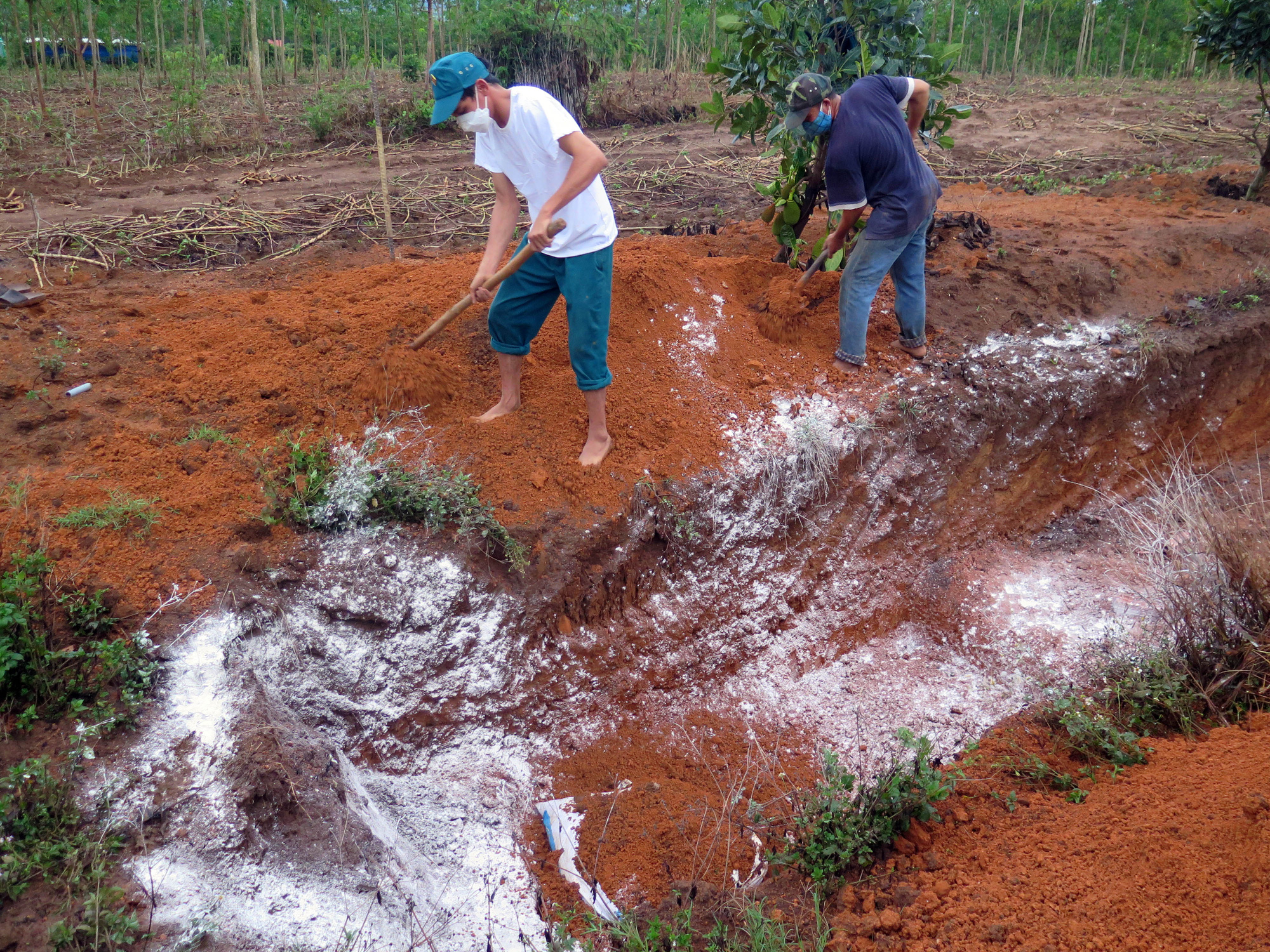 Kon Tum: Tiêu hủy 1.700 con gà vịt nhiễm cúm H5N1 - Ảnh 2.