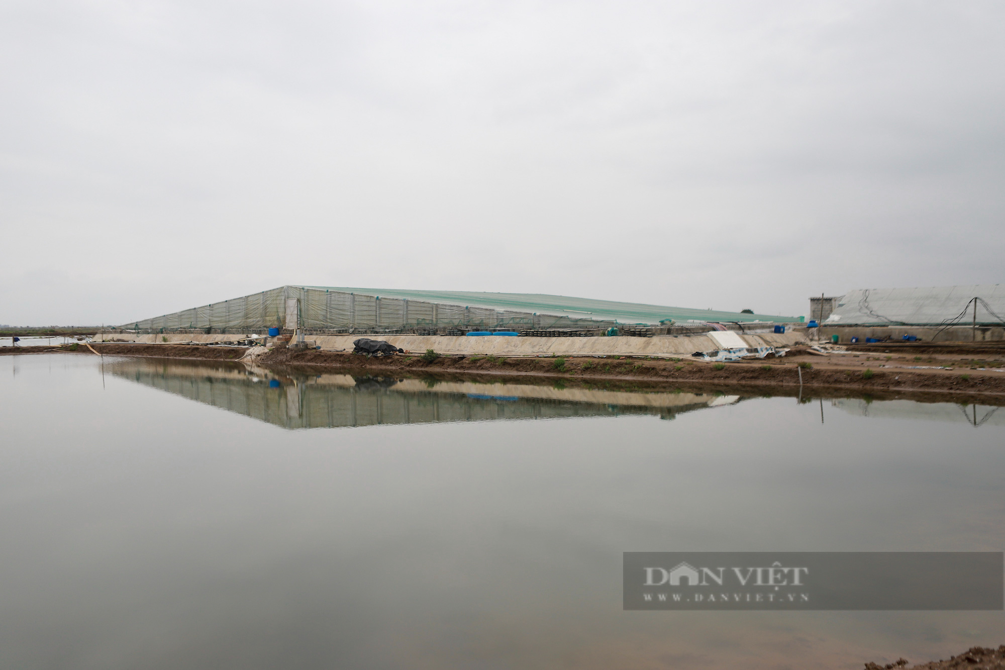 Nam Định muốn xóa sổ khu nuôi trồng thủy sản 431ha Cồn Xanh: Vì thu ngân sách ít - Ảnh 2.