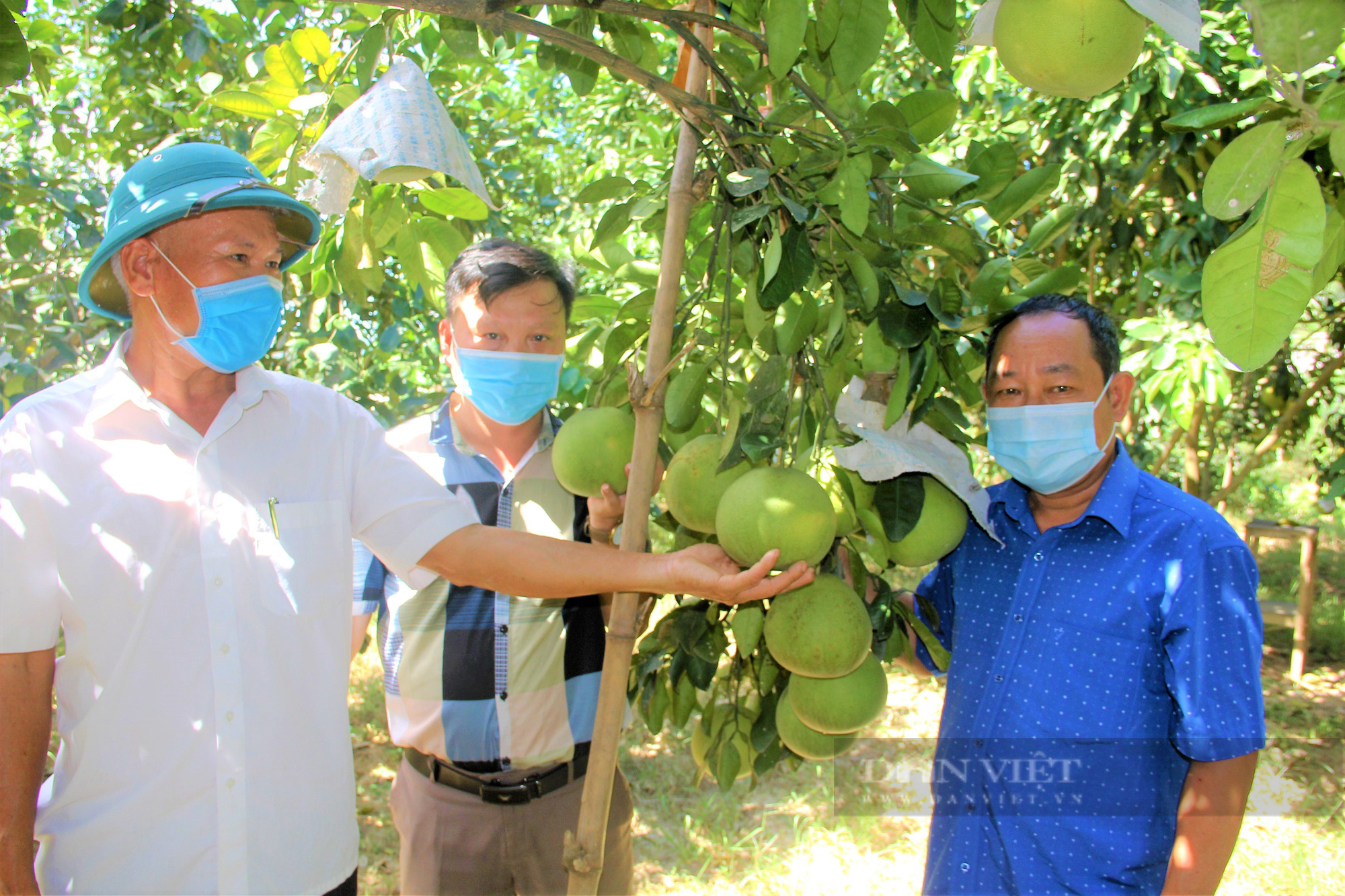 Hà Tĩnh: Phối hợp hỗ trợ nông dân chuyển đổi số trong sản xuất và tiêu thụ nông sản, hàng hóa - Ảnh 2.