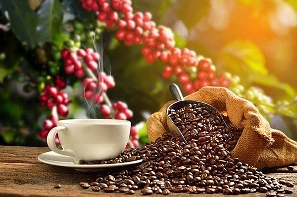 Thị phần cà phê của Việt Nam tại Trung Quốc đang bị thay thế dần bởi các nguồn cung cấp khác - Ảnh 3.